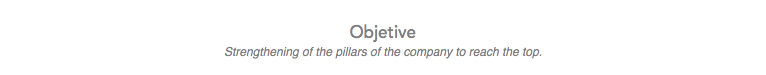 
Objetive
Strengthening of the pillars of the company to reach the top.